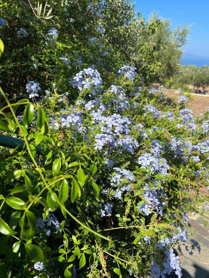 Villa Pefnos Agios Nikolaos  Exterior foto